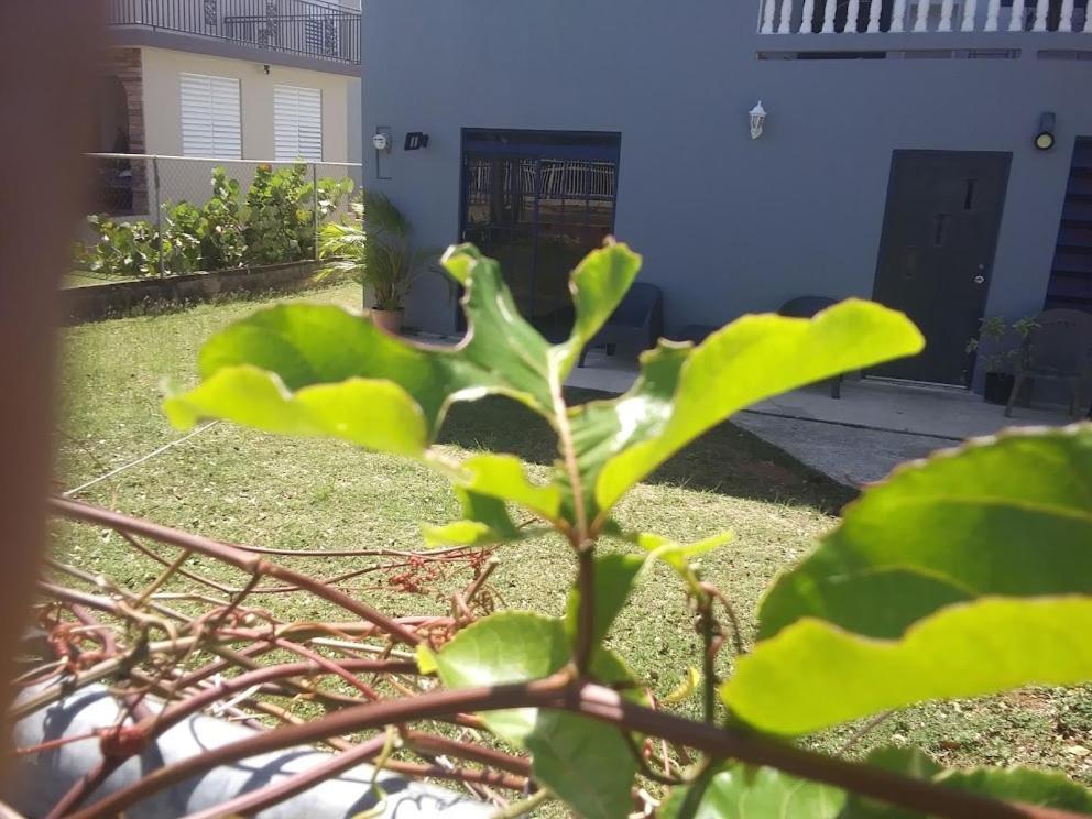 Labadie Apartment Aguadilla Kültér fotó